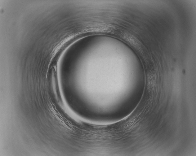 X0000057080628200509161605