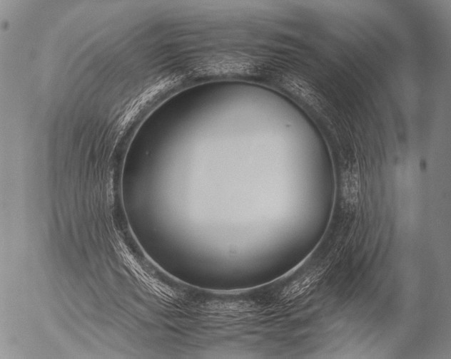 X0000057080629200509161605