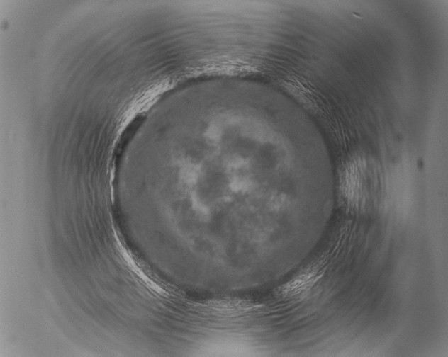 X0000057080630200509161605