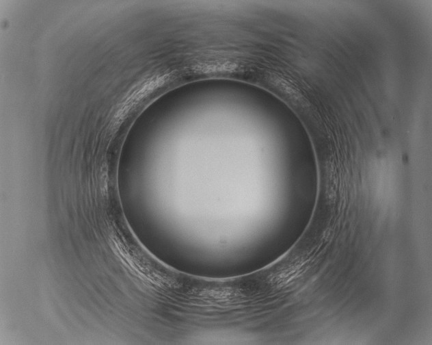 X0000057080631200509161605