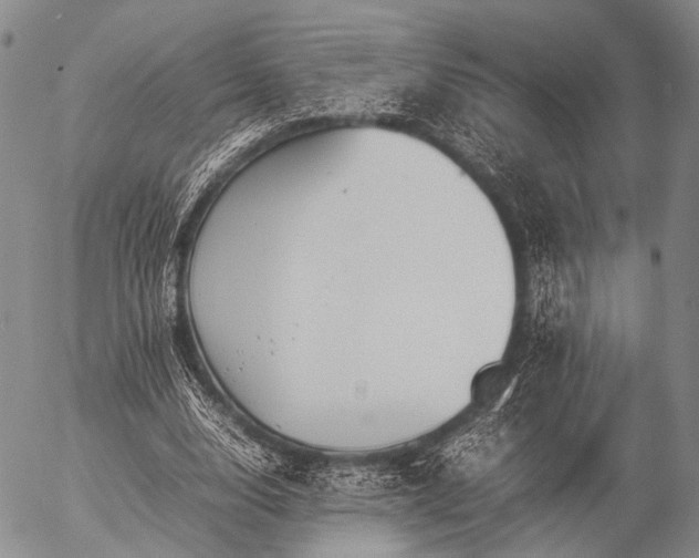 X0000057080632200509161605