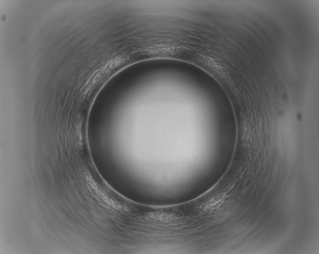 X0000057080633200509161605