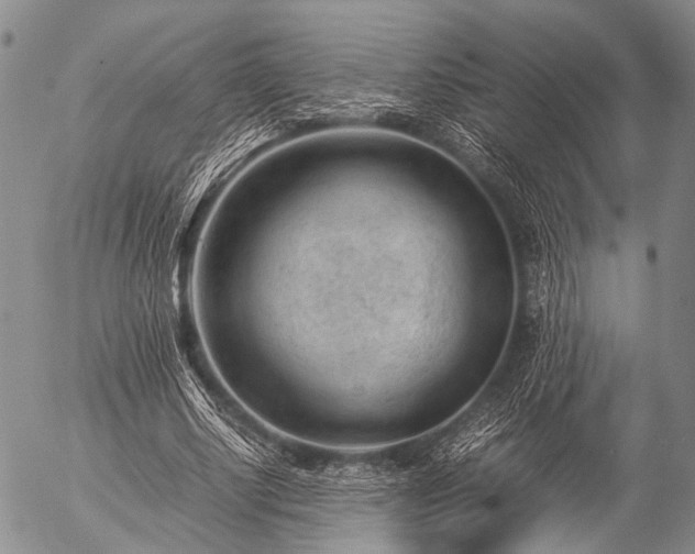 X0000057080634200509161605