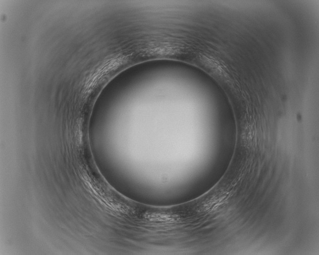 X0000057080635200509161605