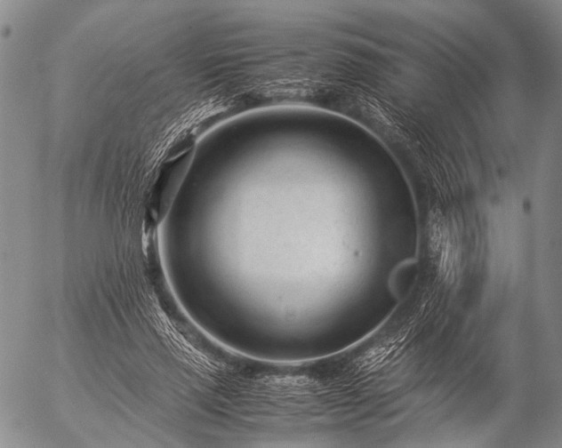 X0000057080637200509161605