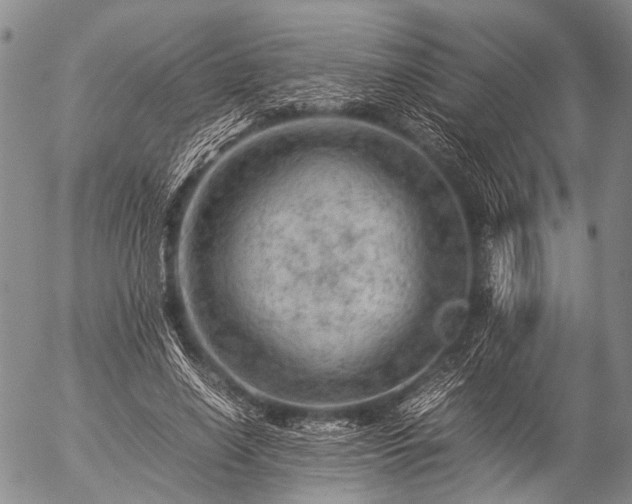 X0000057080638200509161605