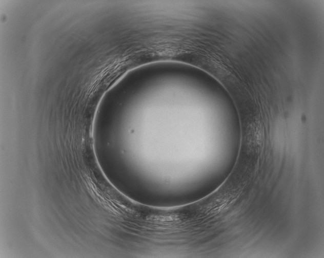 X0000057080639200509161605