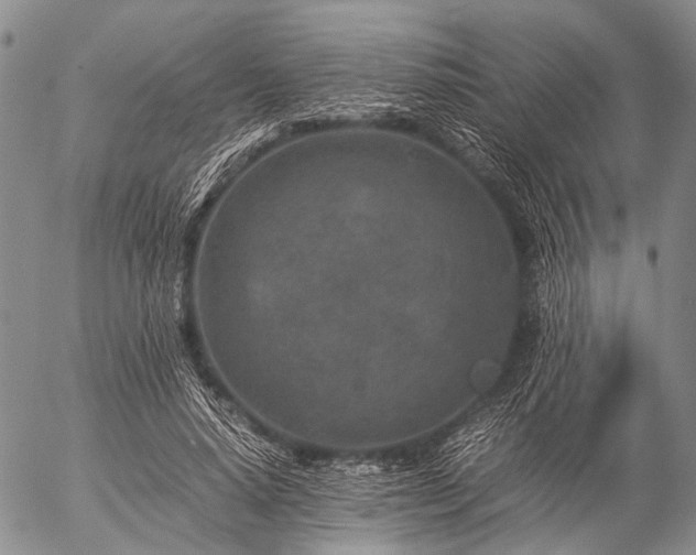 X0000057080640200509161605