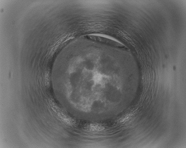 X0000057080641200509161605