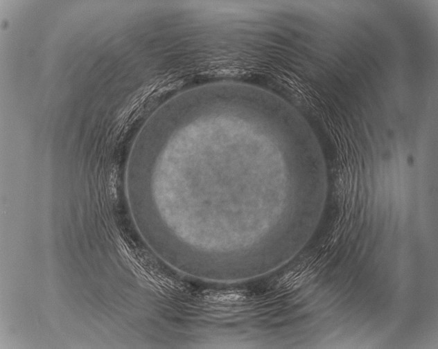 X0000057080643200509161605