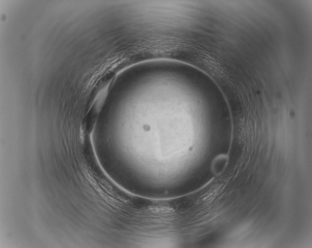 X0000057080644200509161605