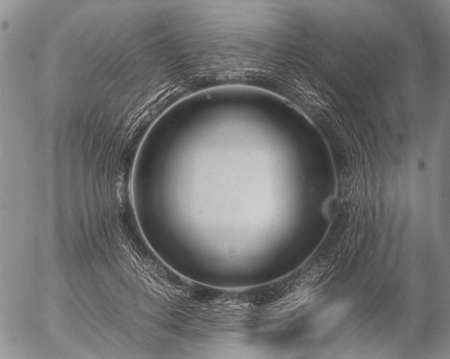 X0000057080648200509161605