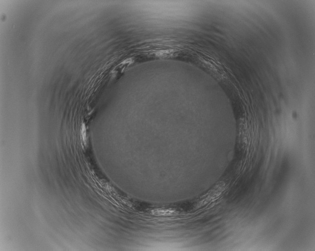 X0000057080650200509161605