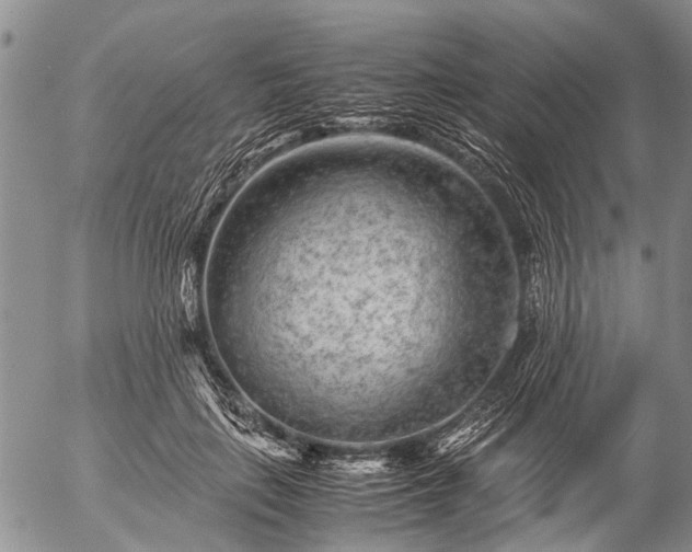 X0000057080651200509161605