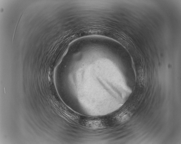 X0000057080653200509161605