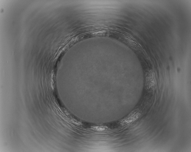 X0000057080654200509161605