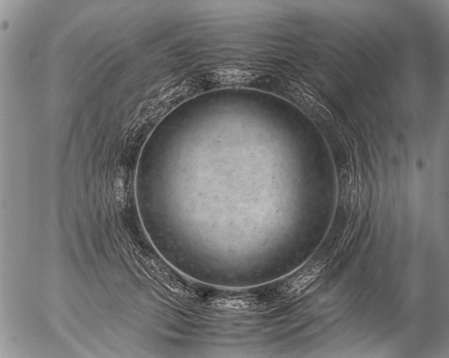 X0000057080655200509161605