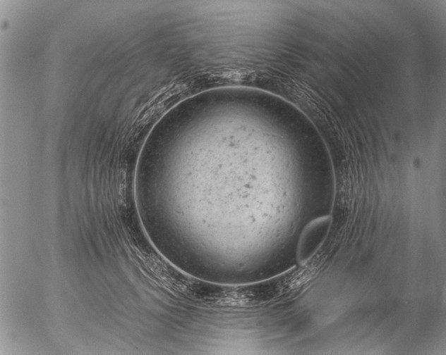 X0000057080656200509161605