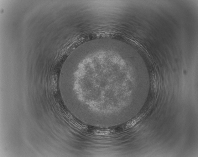 X0000057080661200509161605