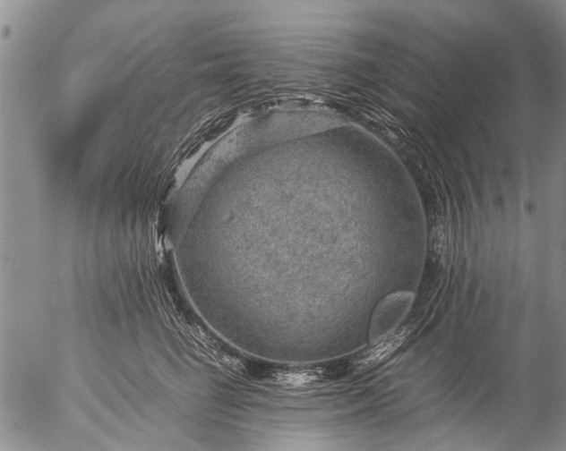 X0000057080662200509161605