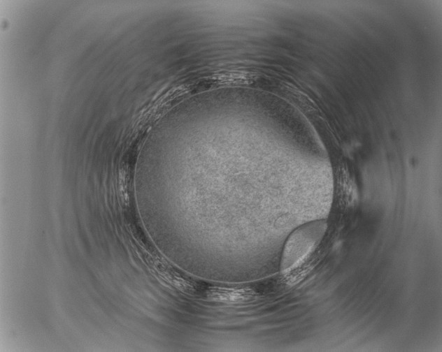 X0000057080663200509161605