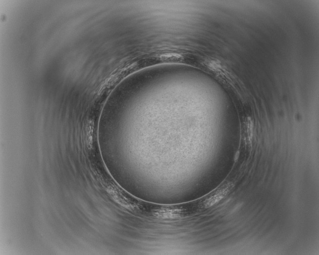 X0000057080664200509161605