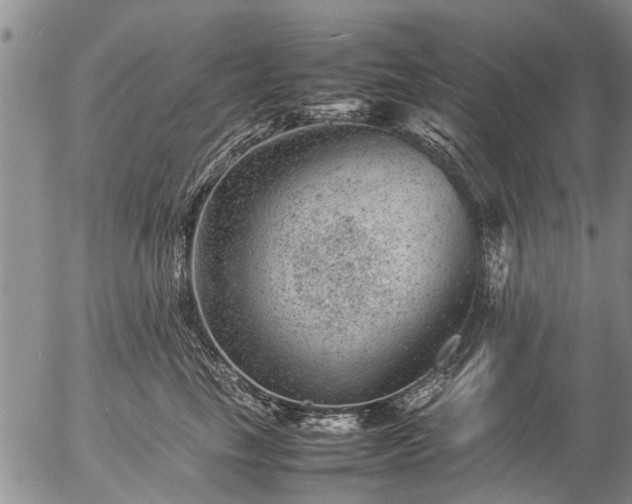 X0000057080665200509161605