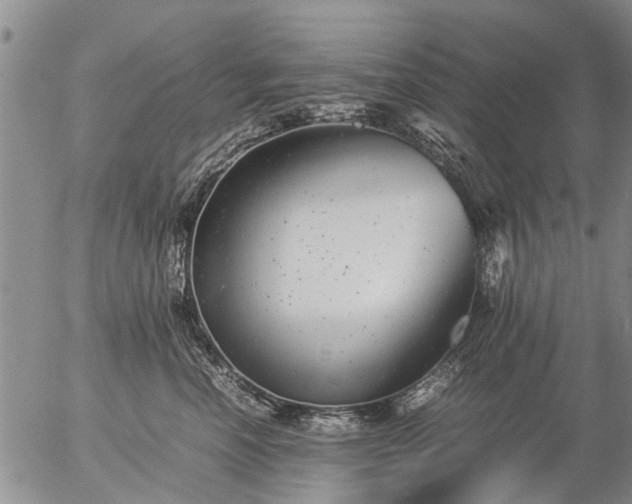 X0000057080666200509161605