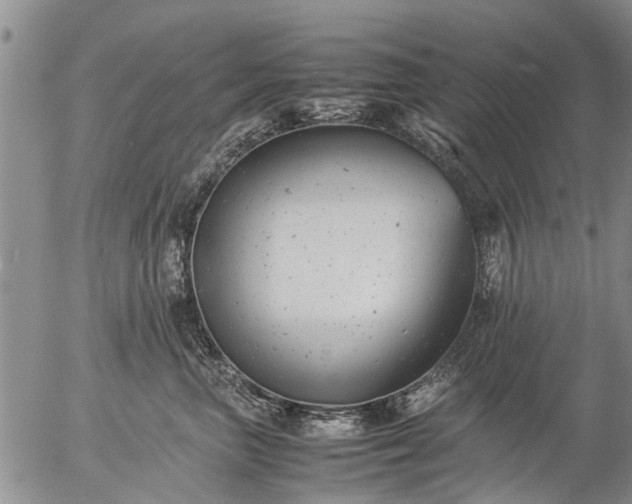 X0000057080667200509161605