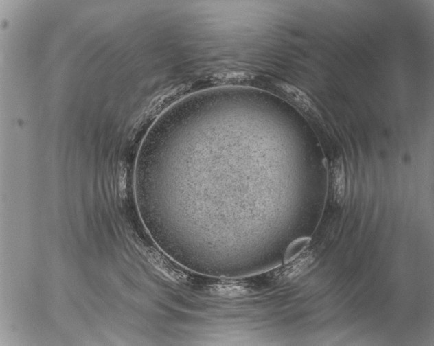 X0000057080668200509161605