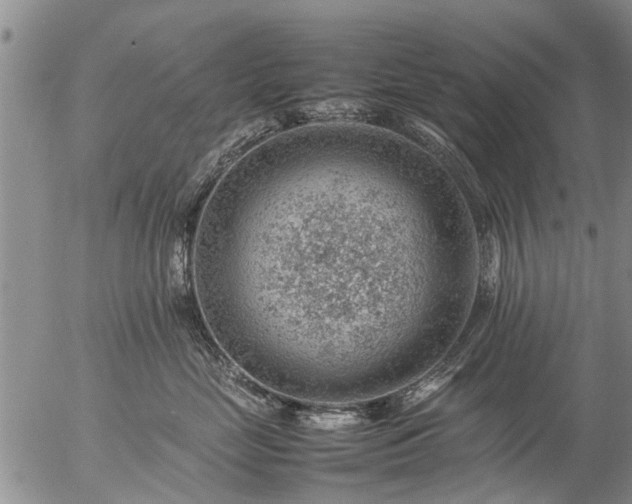 X0000057080669200509161605