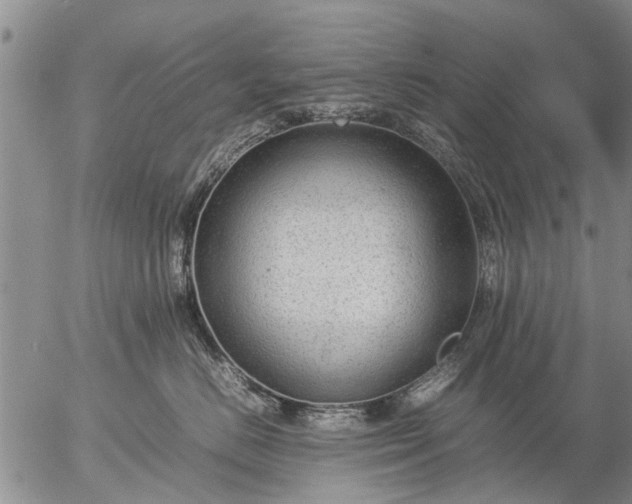 X0000057080670200509161605