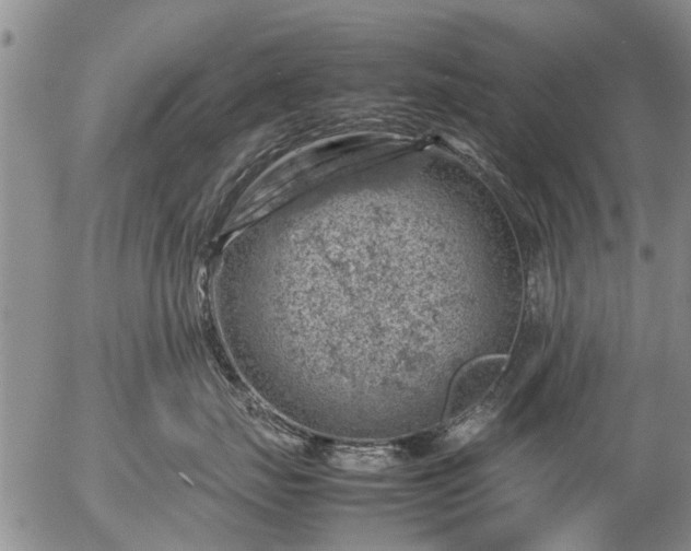 X0000057080671200509161605