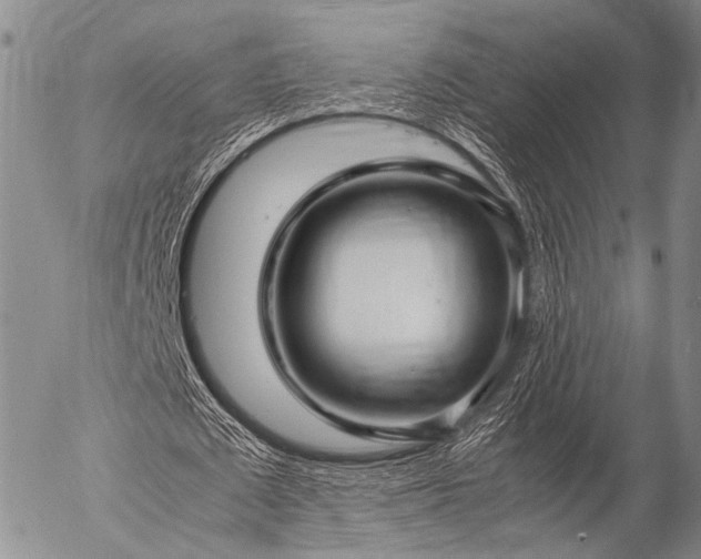 X0000057080673200509161605