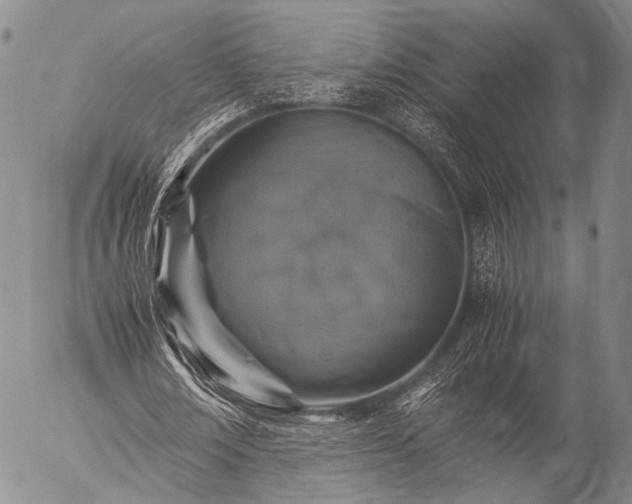 X0000057080674200509161605