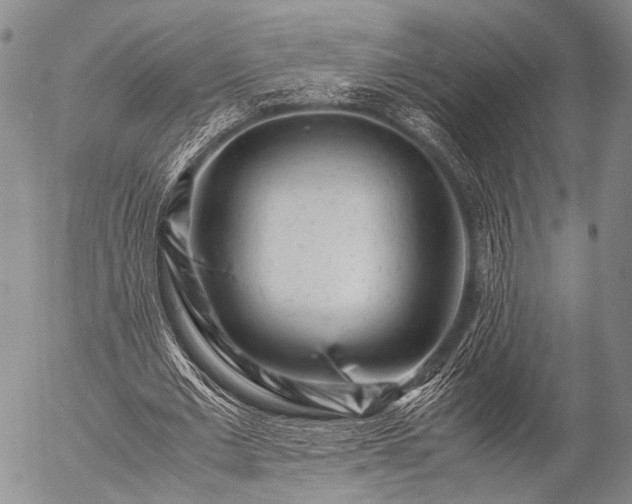 X0000057080677200509161605