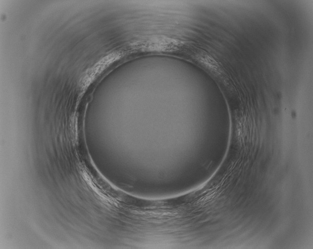 X0000057080678200509161605