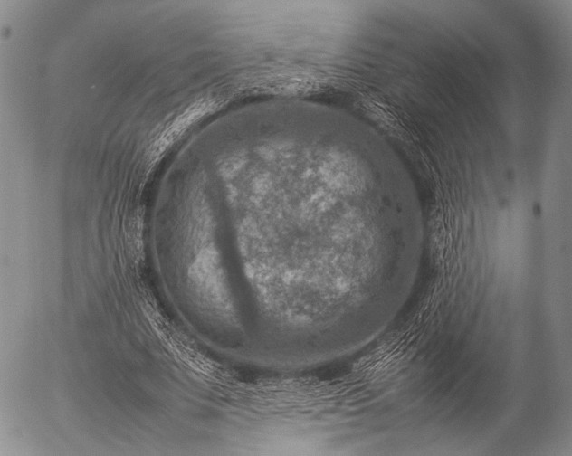 X0000057080679200509161605