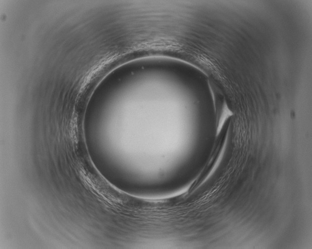 X0000057080680200509161605