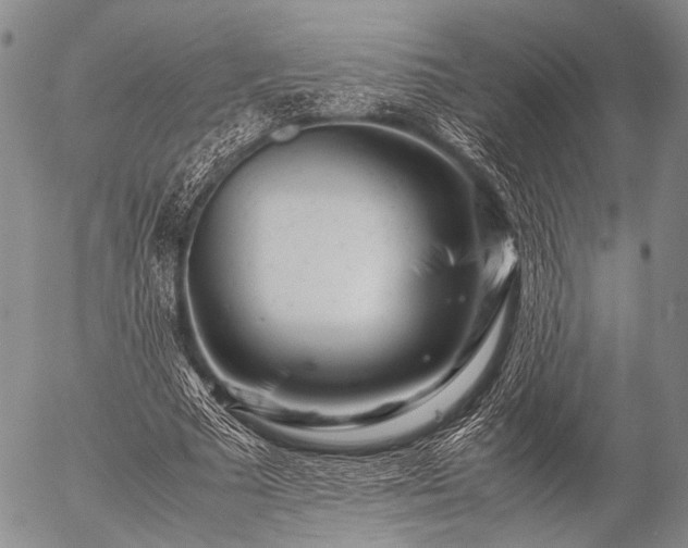 X0000057080681200509161604