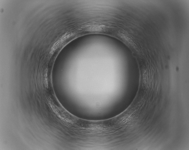 X0000057080682200509161604