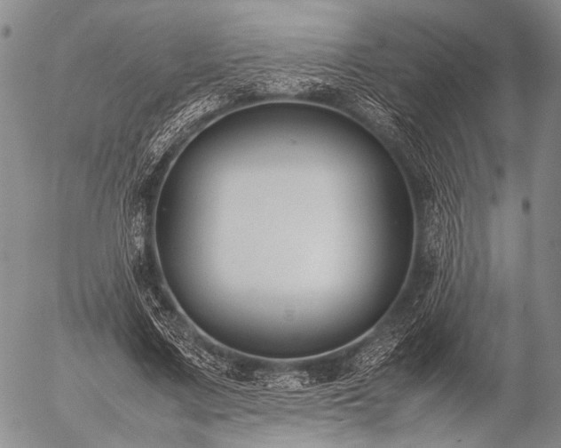 X0000057080683200509161604