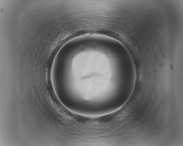 X0000057080685200509161604