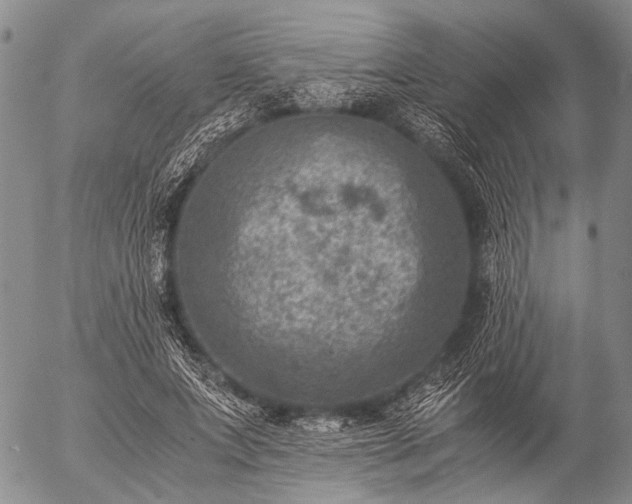 X0000057080687200509161604