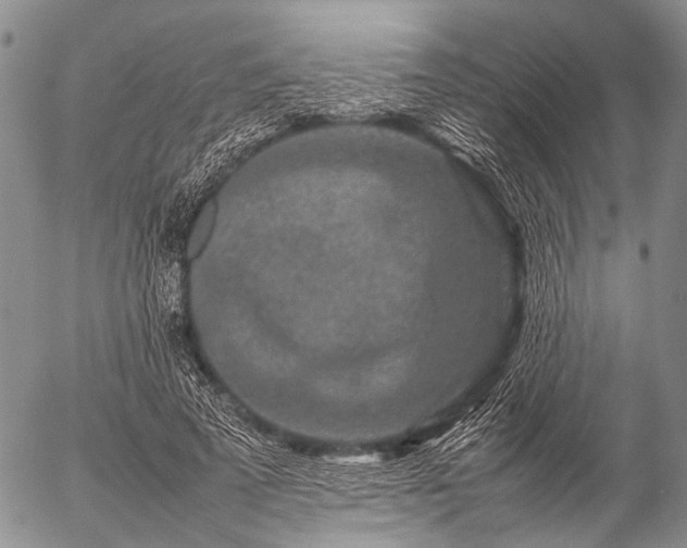 X0000057080689200509161604