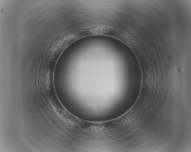 X0000057080690200509161604