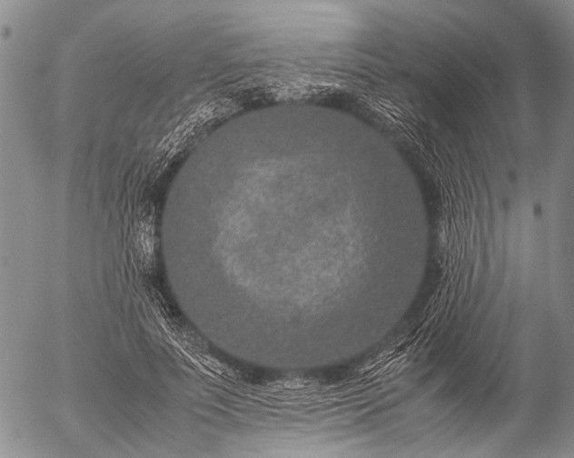 X0000057080691200509161604