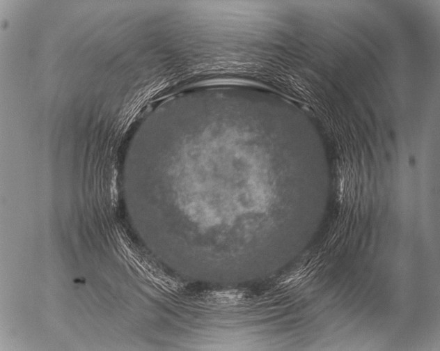 X0000057080692200509161604