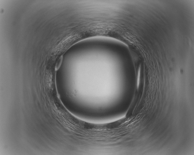 X0000057080693200509161604