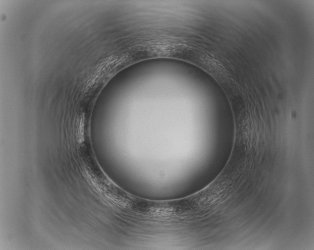 X0000057080694200509161604